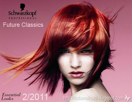 Schwarzkopf есен/зима 2011/12 колекция Igora Colour тренд Future Classics