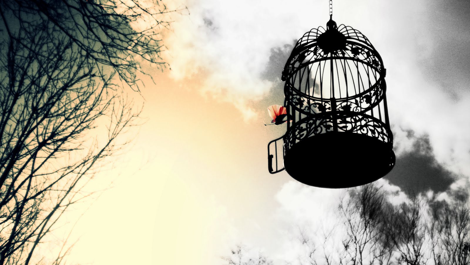 Maritza Craig: escape hd