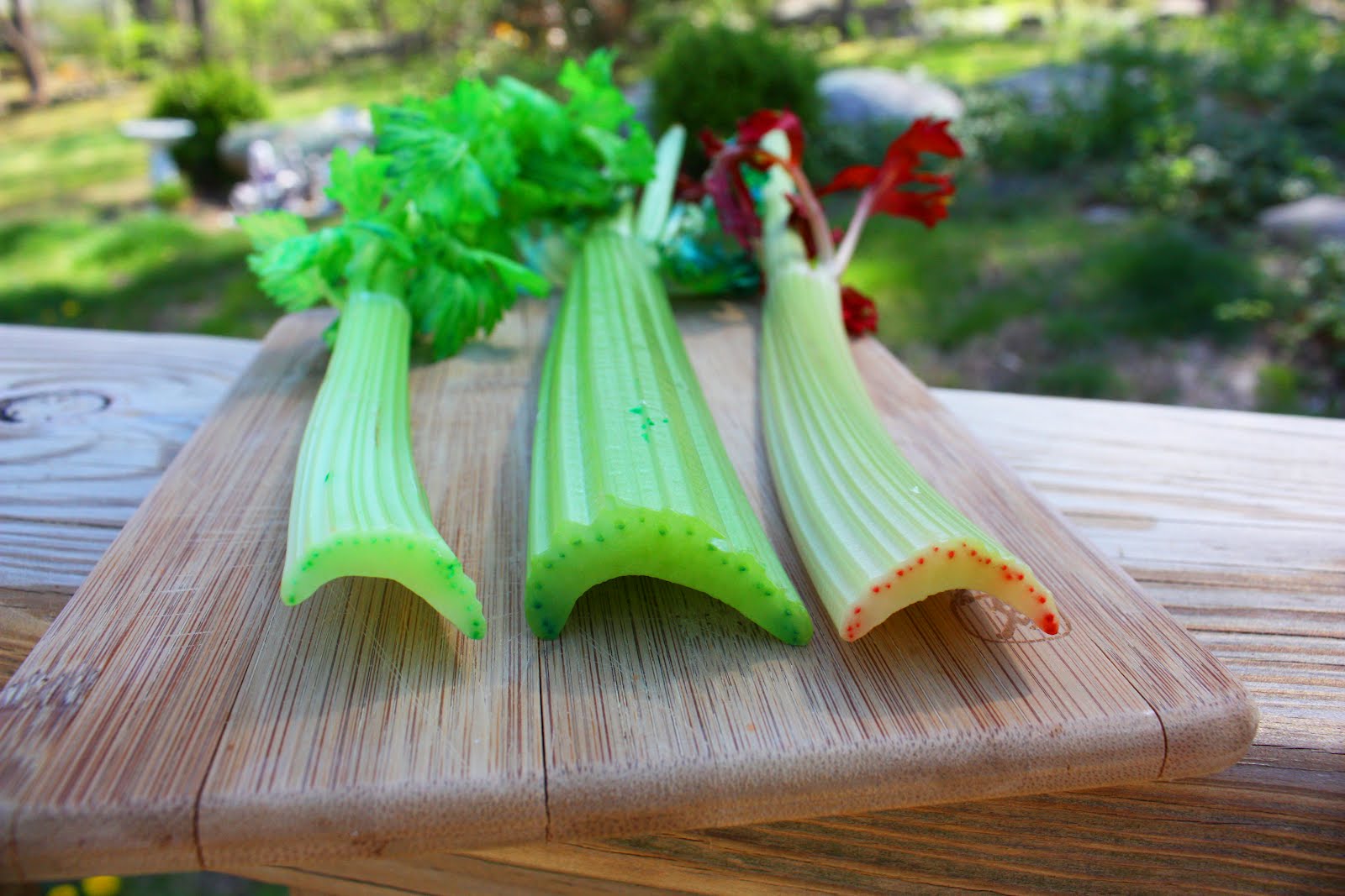 Considering Celery Little Acorn Learning