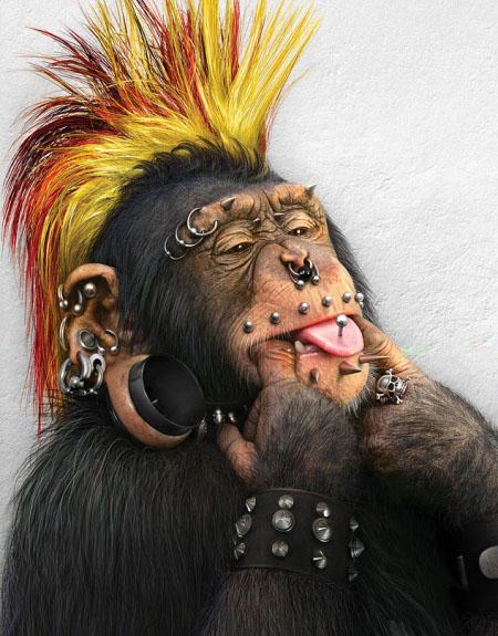 Funny Monkey Wallpaper