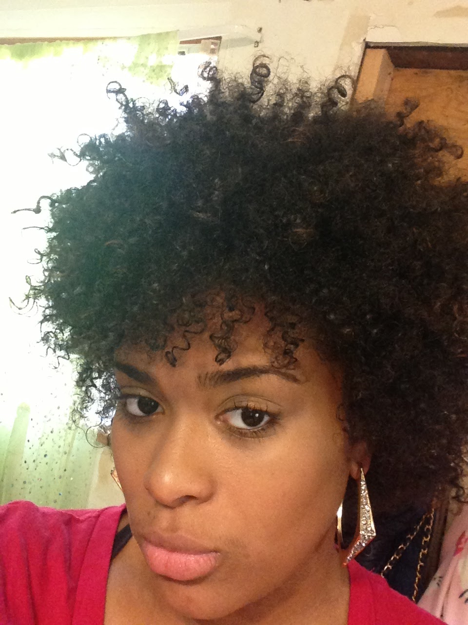 Shakira Wallace Is Naturally Glam Curlynikki Natural Hair Care