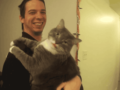 Funny cats - part 85 (40 pics + 10 gifs), cat tries to lick camera gif
