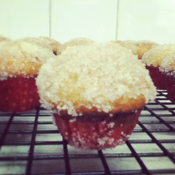 Mix & Fold Nigella Challenge Jam Doughnut Muffins