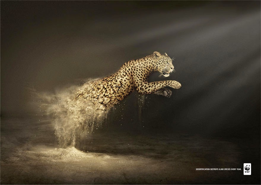 WWF: Desertification Destroys 6,000 Species Every Year - 33 Powerful Animal Ad Campaigns That Tell The Uncomfortable Truth WWF: Desertification Destroys 6,000 Species Every Year - 33 Powerful Animal Ad Campaigns That Tell The Uncomfortable Truth