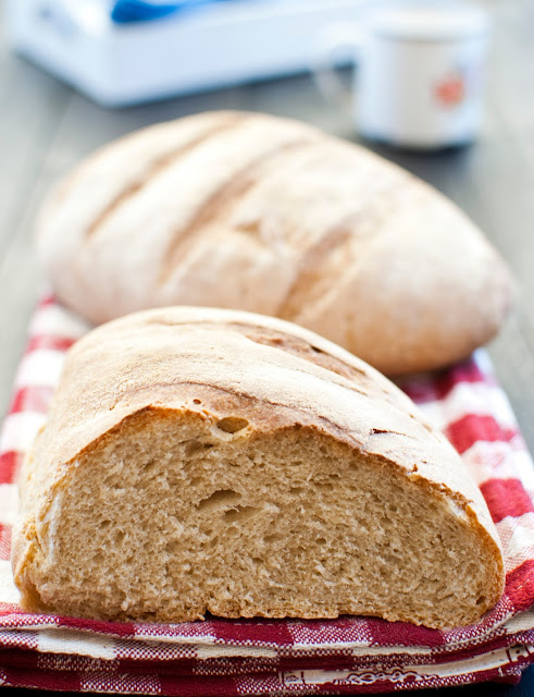 pane rustico semi integrale con segale e farina di riso
