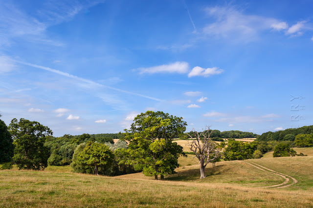 Oxfordshire Cotswold landscape around the village of Swinbrook by Martyn Ferry Photography