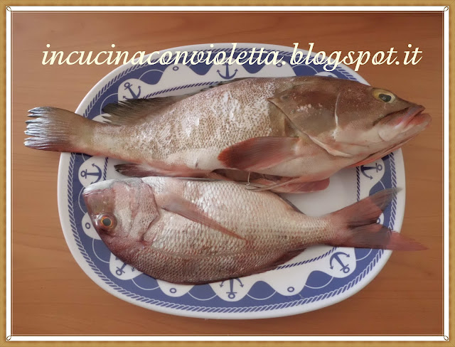 cernia e paolotto (pagello-fragolino) all' acqua pazza