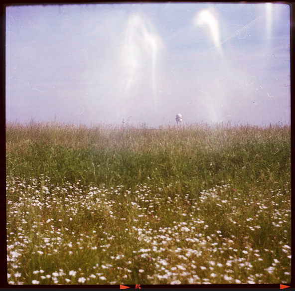 Wollzeitmama Erdbeeren Erdbeeren Und Noch Mehr Spass Mit Erdbeeren