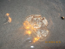 Jellyfish residue backlit by sunset on Clifton Beach, Capetown