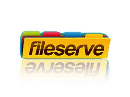 fileserve search