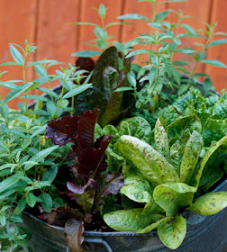 Room to Inspire: Veggie Garden in a Container