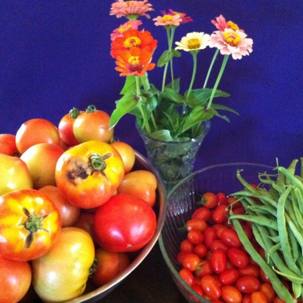 Dispatches From Can Of Duck Garden Update Fruiting Plants
