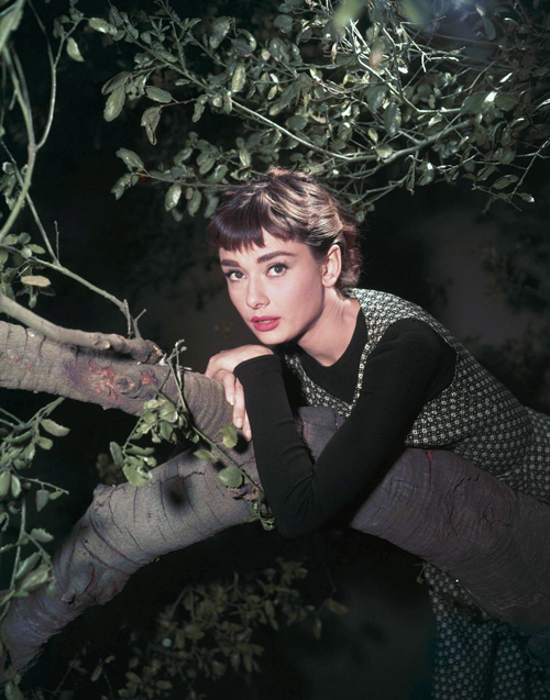 “Audrey Hepburn，Sabrina”的图片搜索结果