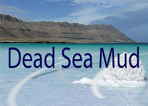 Dead Sea Articel