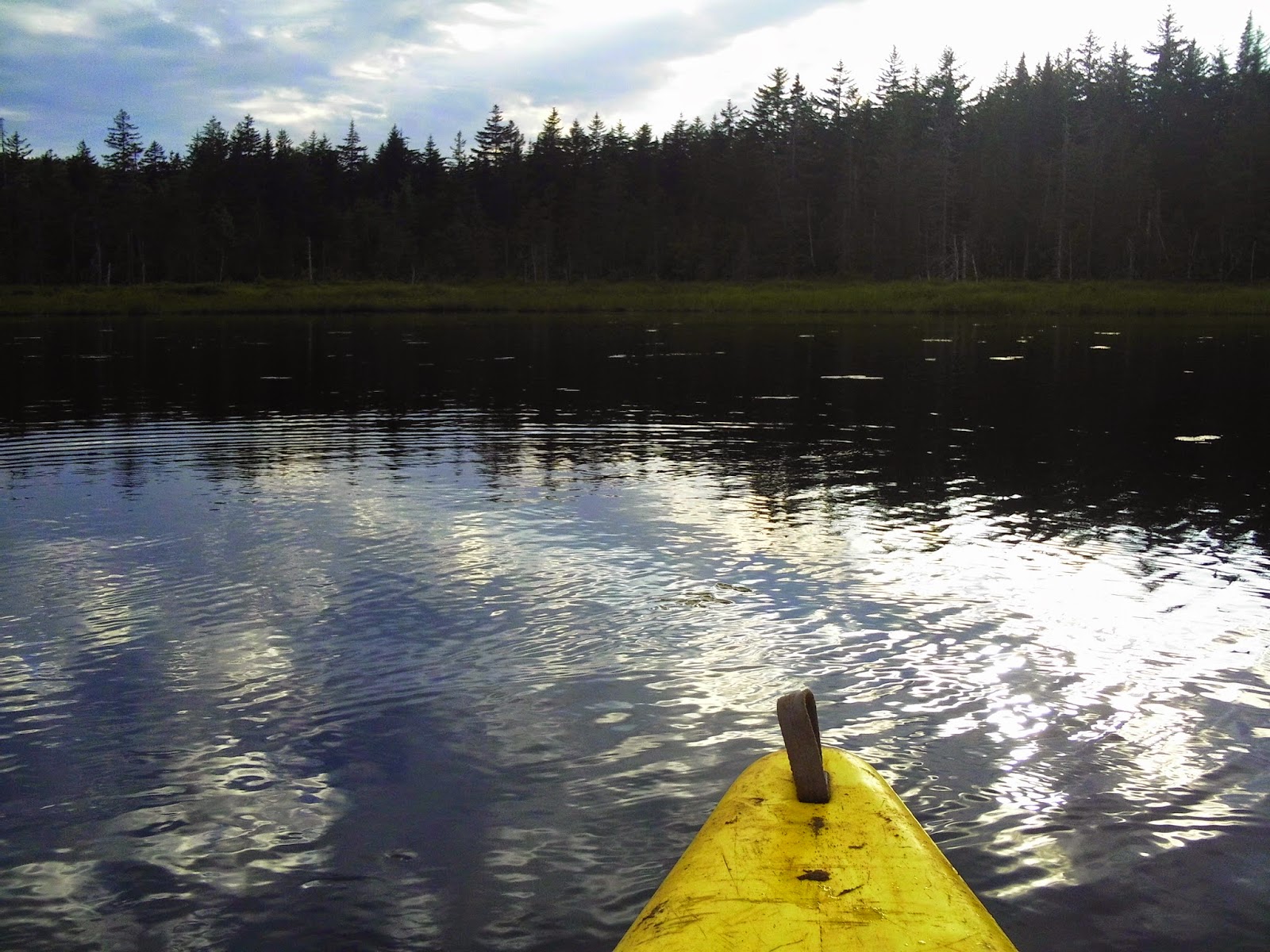Whalen's Wanderings Kayak Fishing on Kennedy Lake