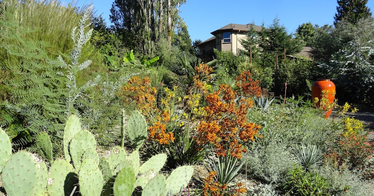 danger garden: A quick look at a favorite garden