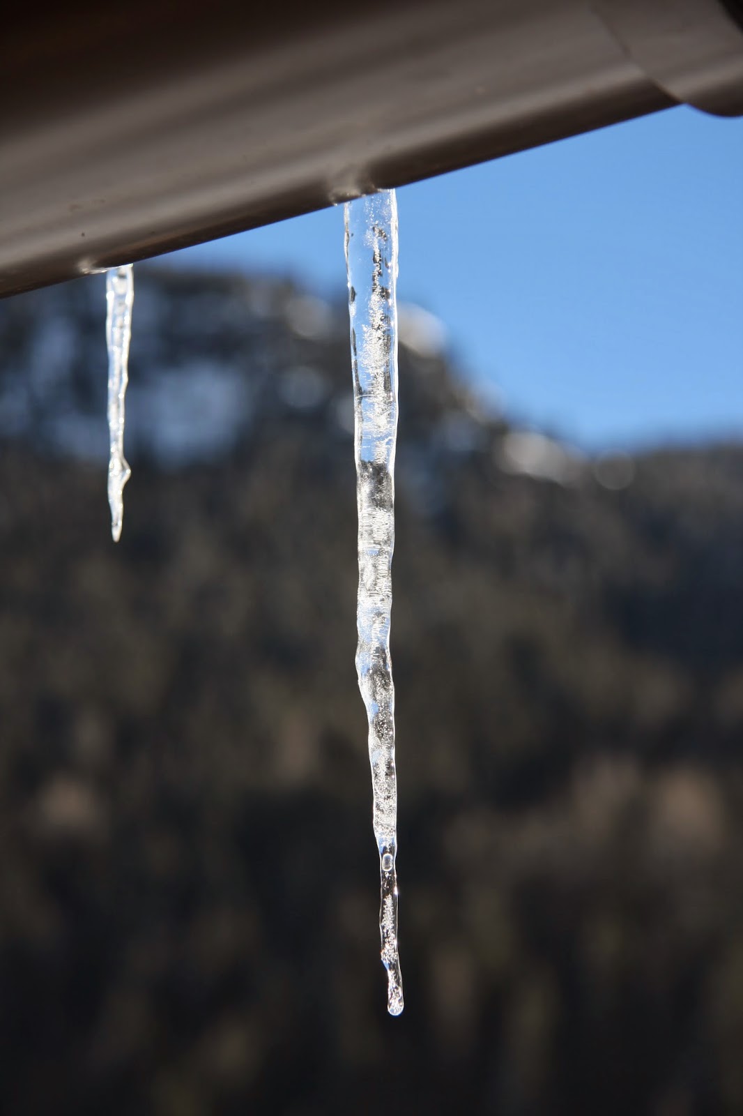 Icicles Hanging off the Roof