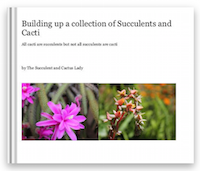 The Book on Succulents