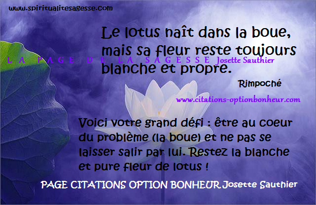 La Page de la Sagesse Citation de Rimpoché sur la La Page de la Sagesse Citation de Rimpoché sur la