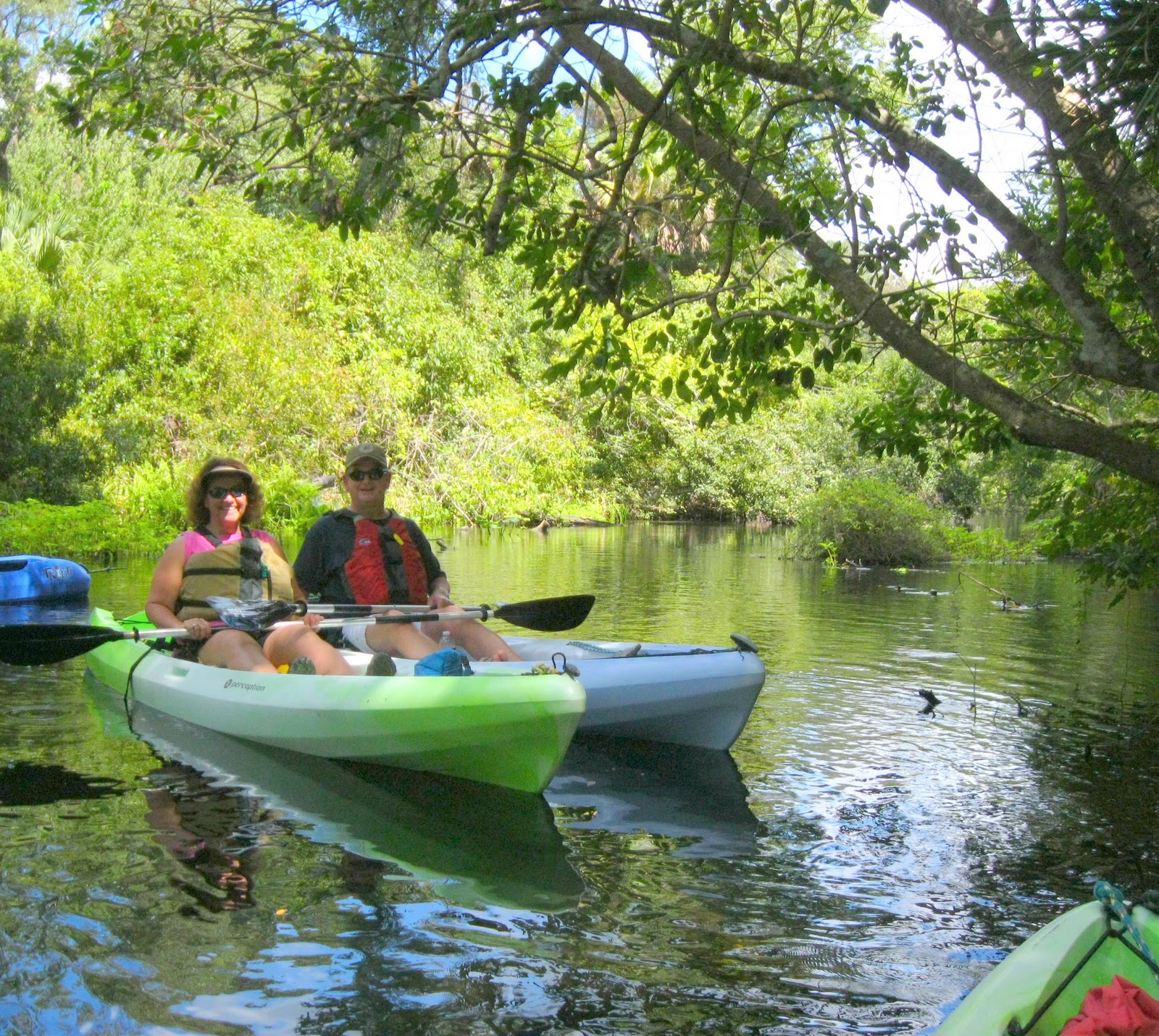 Kayak Eco Tours Near Tampa Rock Springs Run 92111 Life is Good!