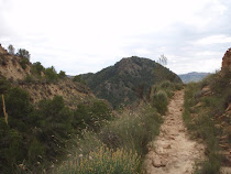 LA DUREZA DEL CAMINO