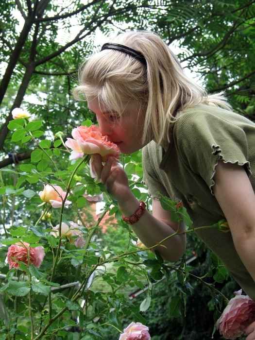 Aquarelle Von Gerhard Mitterbauer Kunst Im Schaufenster 2014 In
