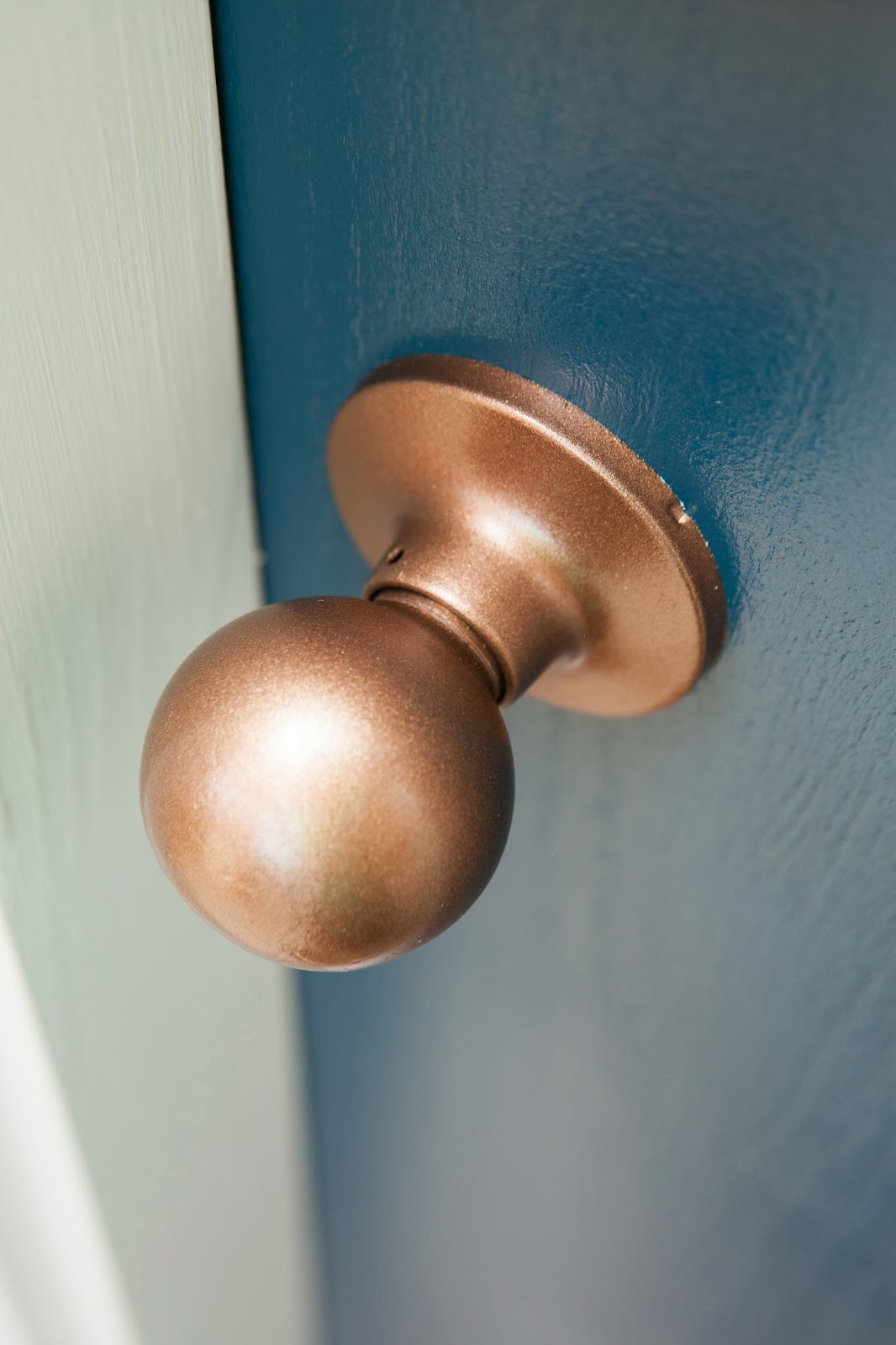 MyBellaBug Curb Appeal Freshly Painted Front Door