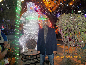 At "Allen Park" ,the best decorated park in Kolkata for Christmas/New Year".