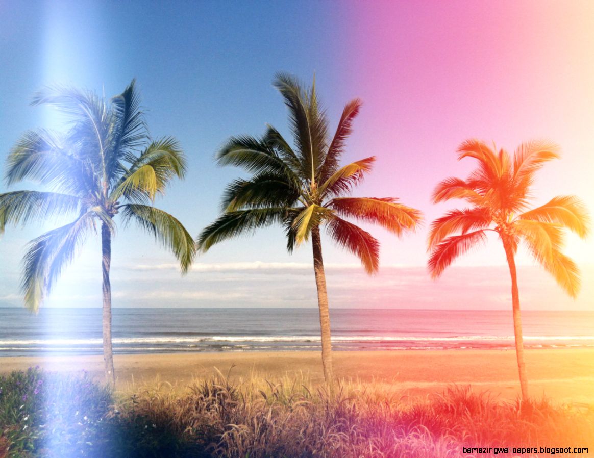 Palm Trees Tumblr Vertical Inspiration 512396 Pools Palm Trees Tumblr Vertical Inspiration 512396 Pools