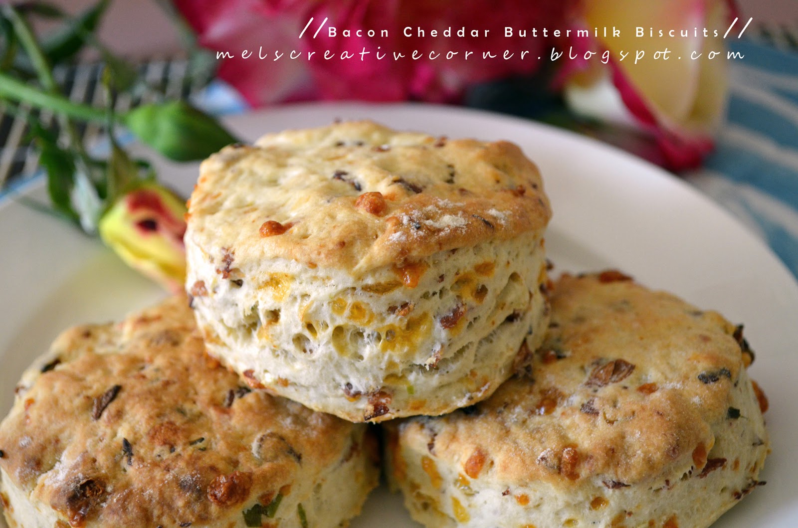 Bacon Cheddar Buttermilk Biscuits!