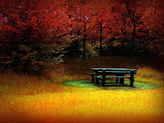 Fondo de pantalla de una banca en medio del hermoso campo de otoño. bonito bosque en la ã©poca de otoã±o