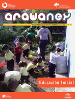 Revista ARAWANEY N° 11