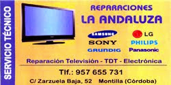 REPARACIONES TV-TDT-ELECTRONICA