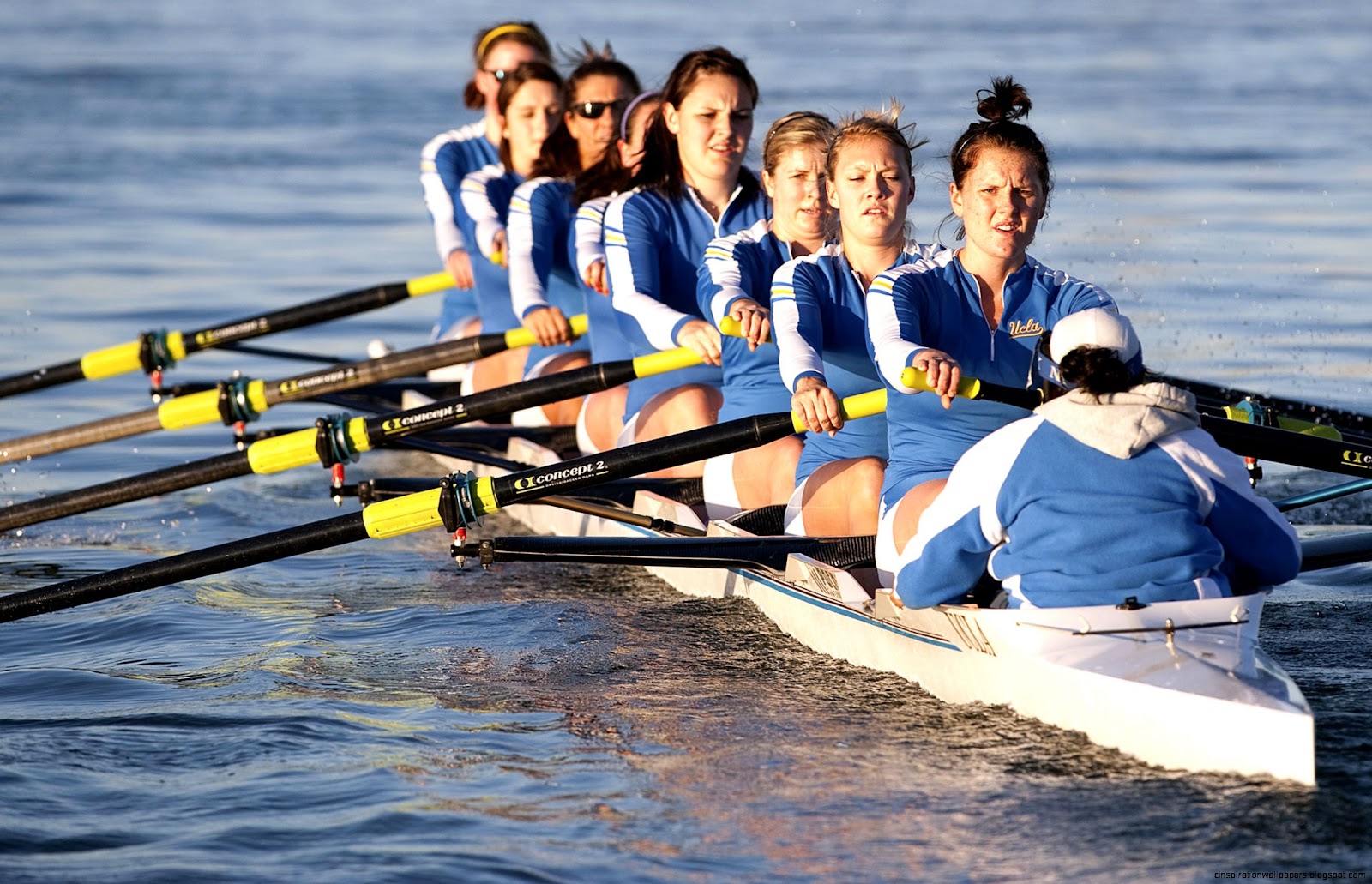 Women Rowing Boat Teams Women Rowing Boat Teams