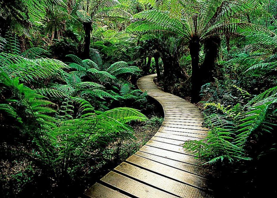 Free desktop wallpaper nature Free desktop wallpaper nature