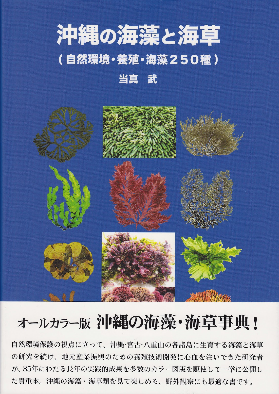 Seaweed Research Journal 海藻研究ジャーナル October 2012