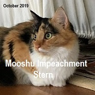 Mooshu Peaches Stern Cat Adoption Deception