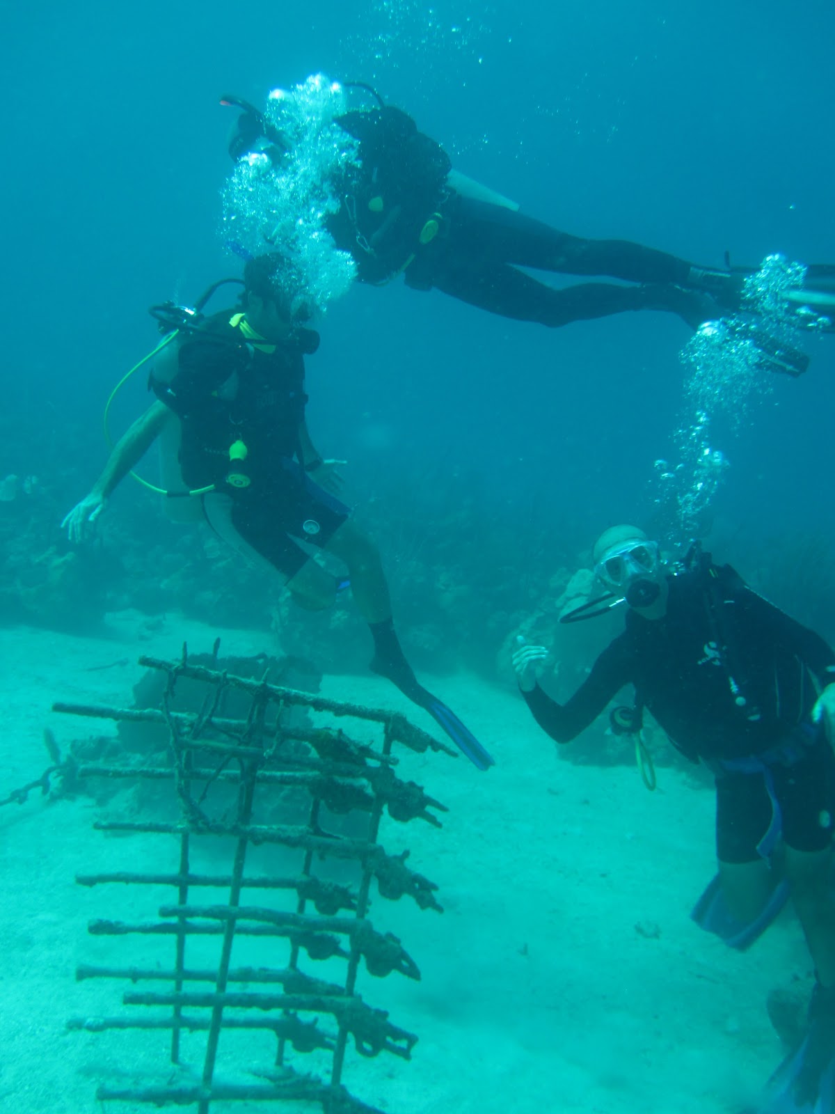 Coral Point Diving PADI 5 Star Dive Center in Bayahibe Fun Dive at