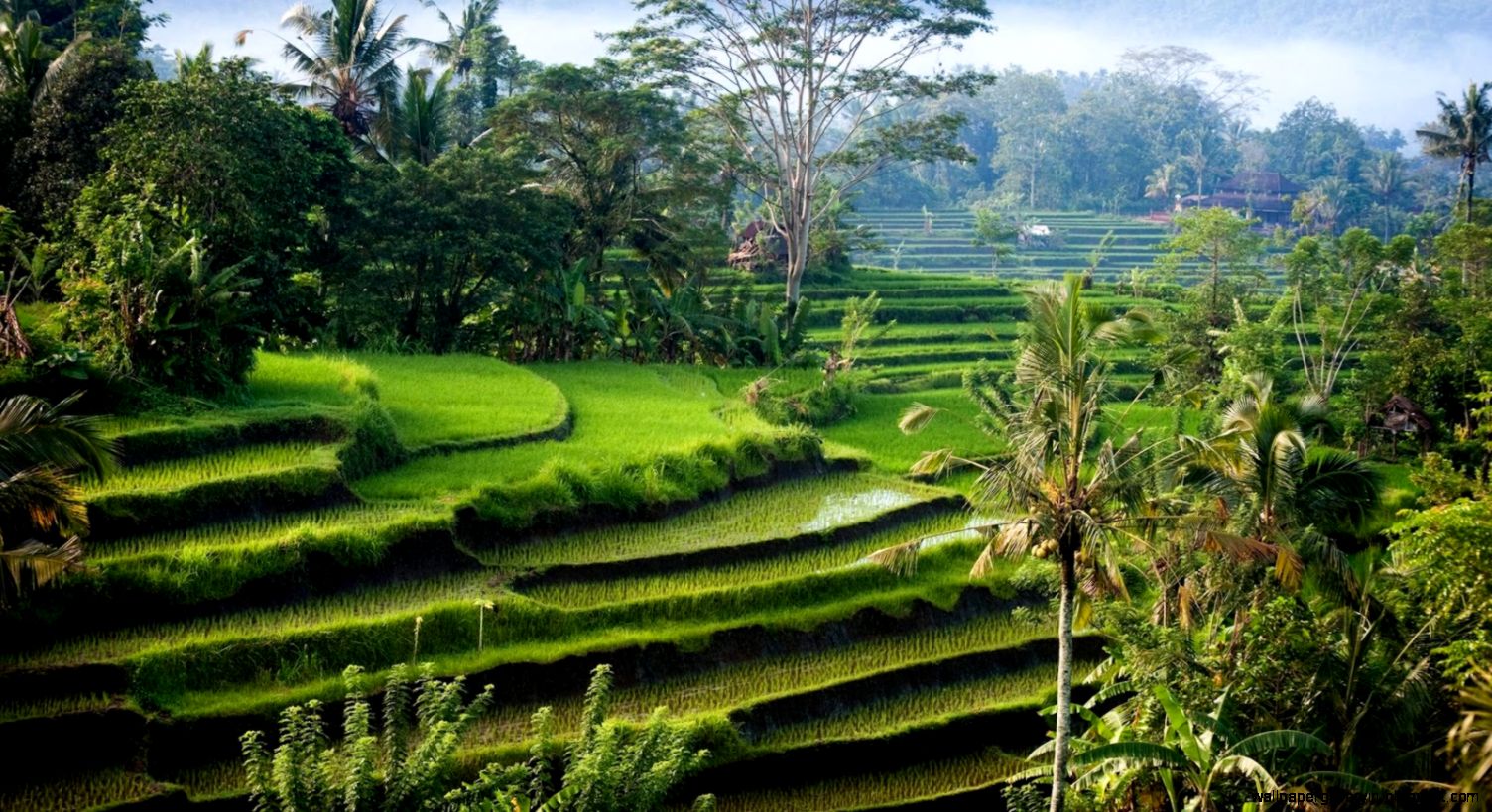 Sidemen Bali Sidemen Bali