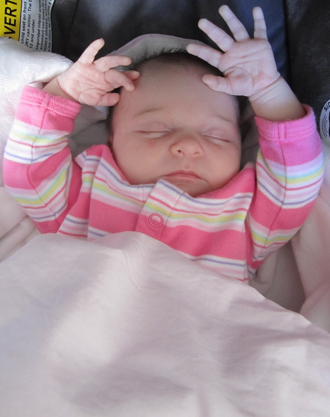 7x7xMommy What do Babies Dream About?