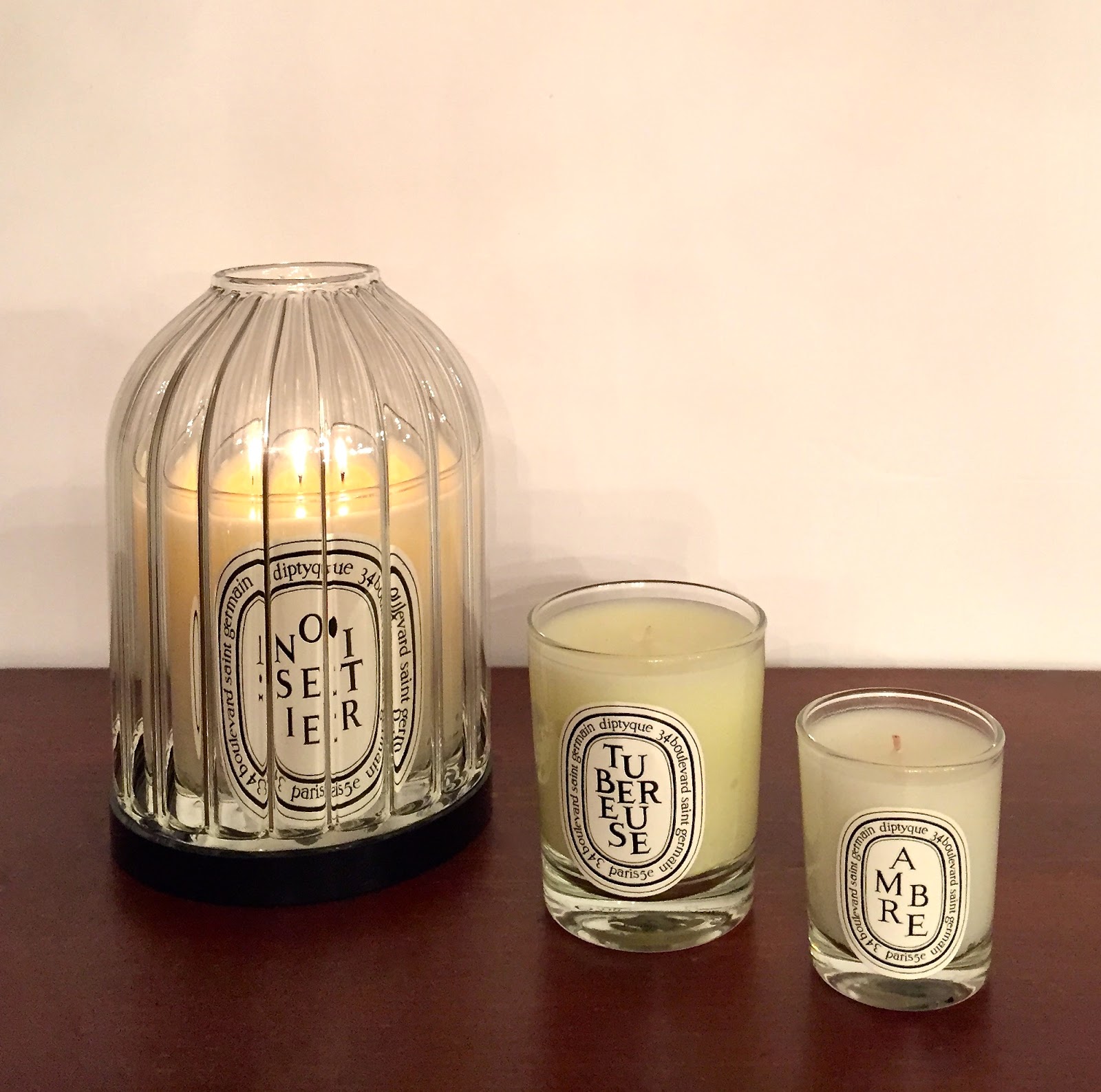 Diptyque Candles Figuier, Noisetier, Tubereuse, Ambre & Baies of the