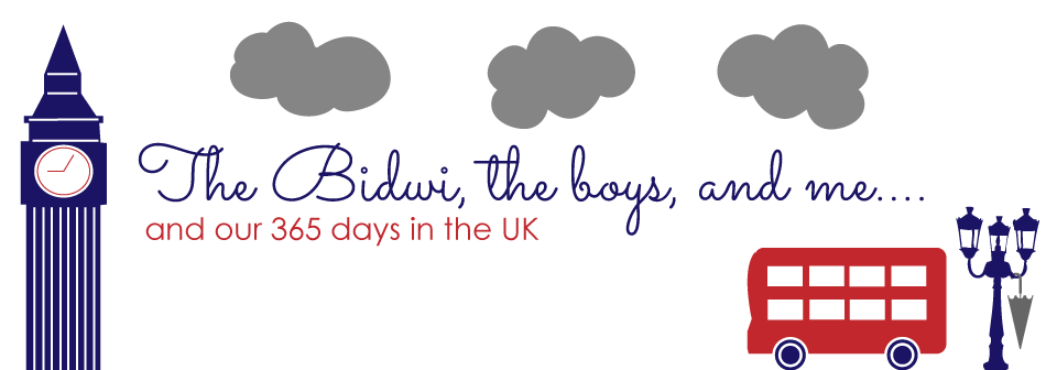 The Bidwi, the boys, and me...and 365 days in the UK. 