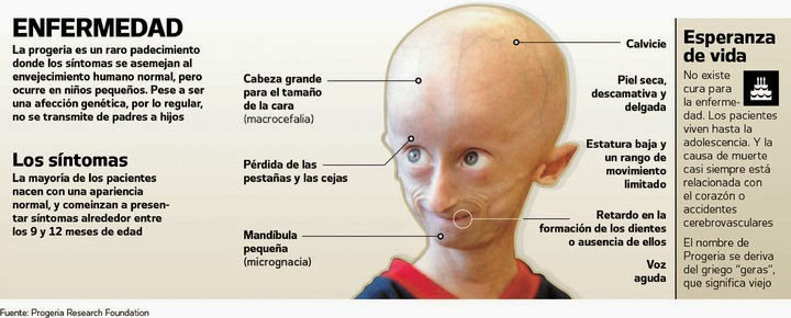 Las máscaras para los cabellos contra la caída y la fragilidad las recetas