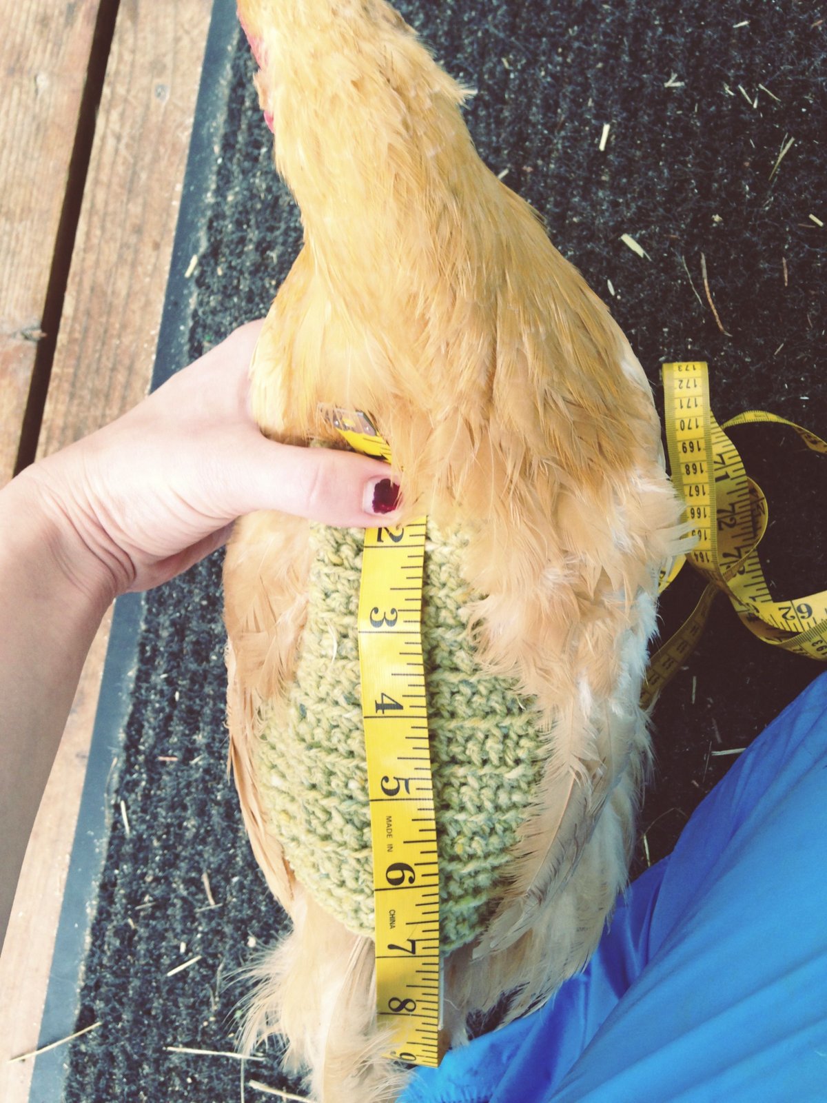 Life Alaskan Style crochet pattern for chicken saddle/apron/sweater