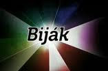 Kata Bijak