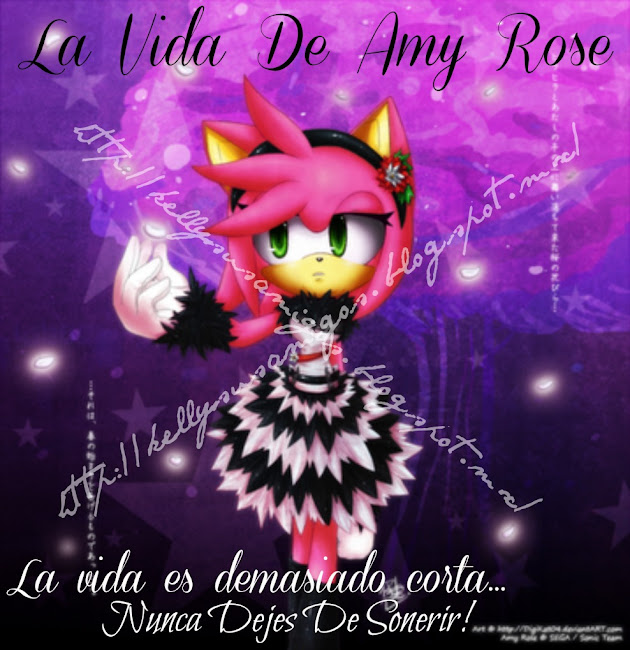 La vida de amy rose