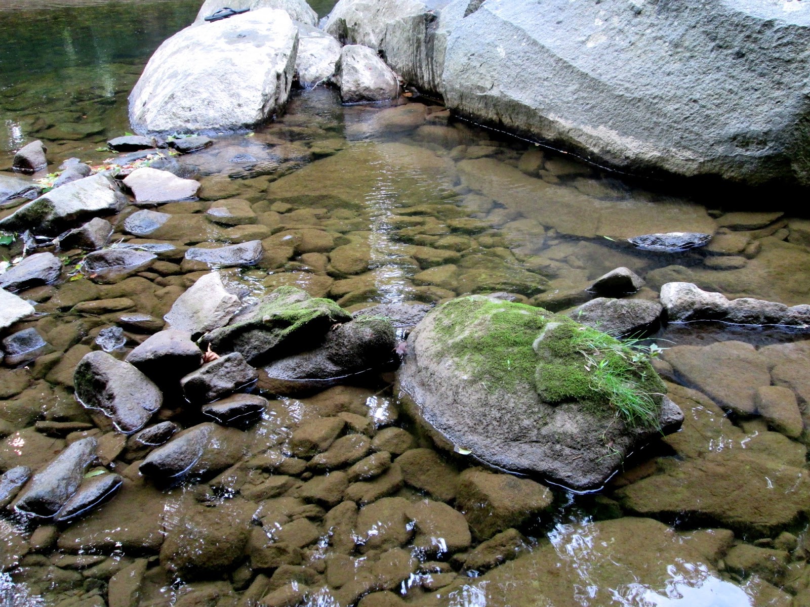 Virginia's Life, Such As It Is! Swimming in the Patapsco River