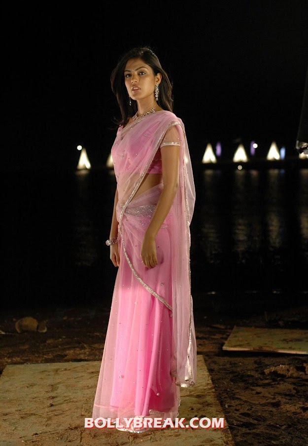 Riya latest photo shoot in pink saree