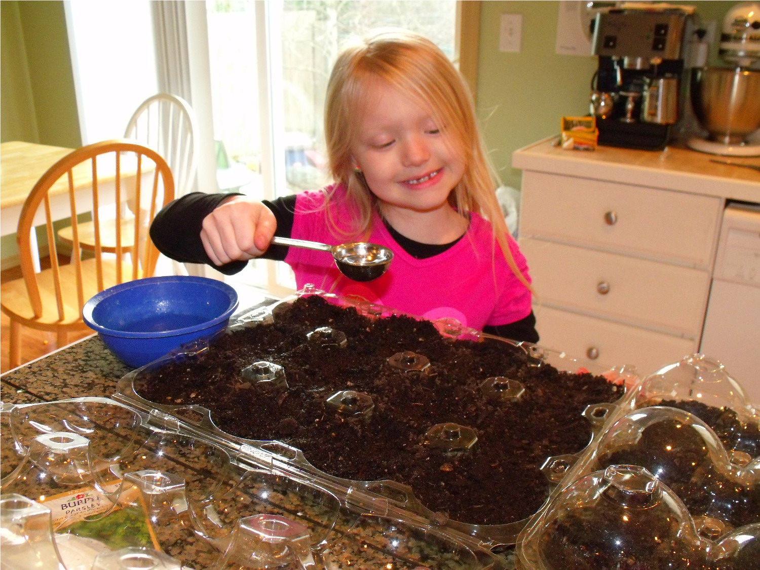 Clever, Crafty, Cookin' Mama Recycled Costco Planters