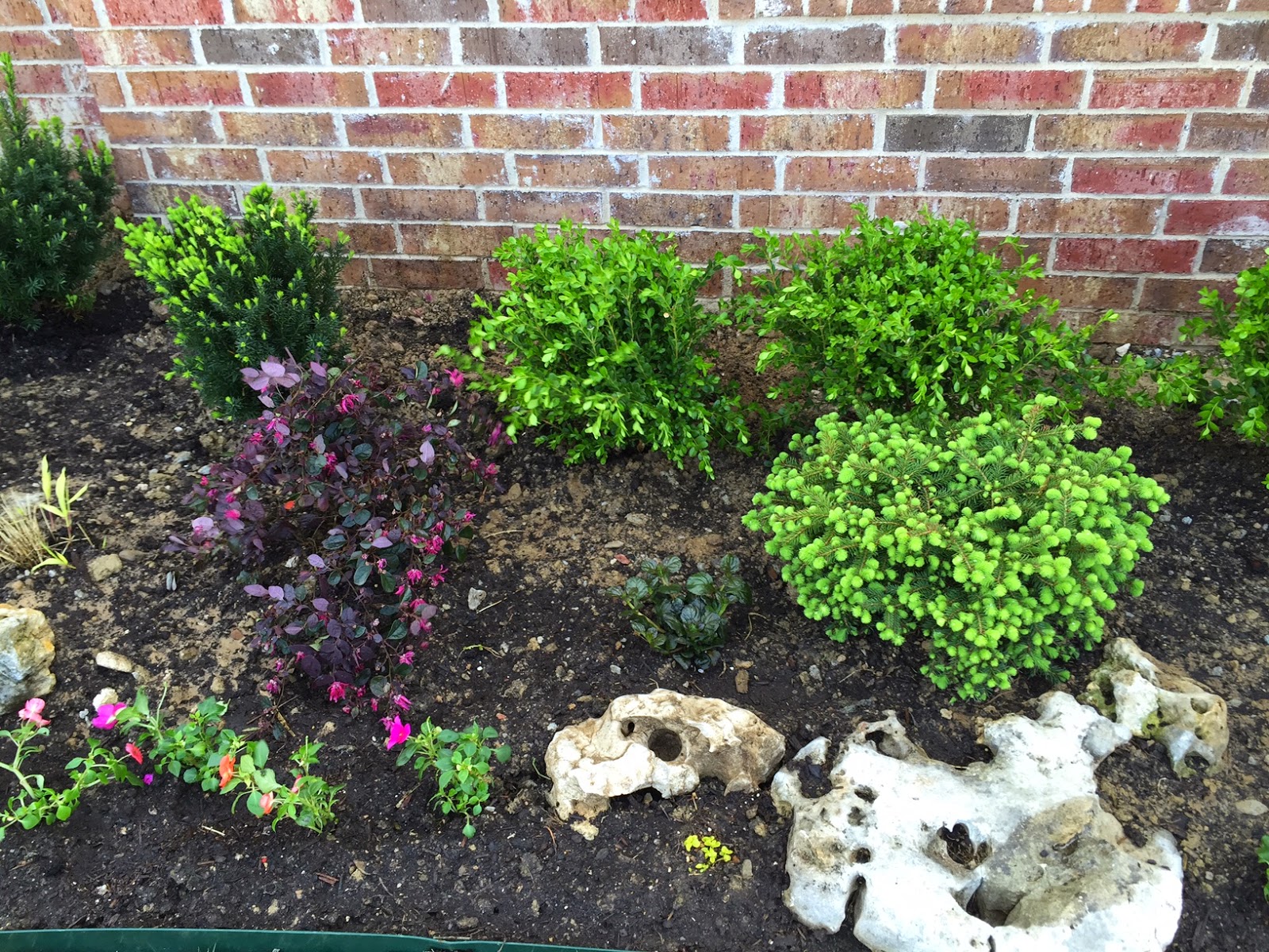 Caa Class Of 2015 Fundraiser 2014 Plant Sale